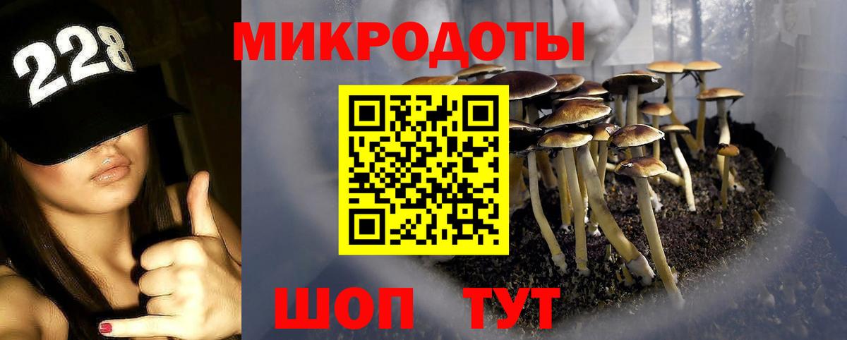 Гулькевичи  Псилоцибиновые грибы GOLDEN TEACHER  Вход с VPN 