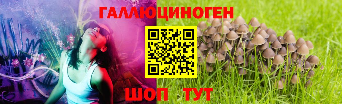 Галлюциногенные грибы прущие грибы Гулькевичи